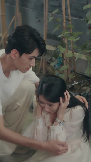 清风不渡明月（53集）一口气看完