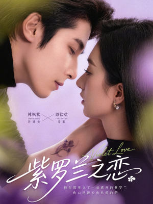 紫罗兰之恋（82集）热门短剧来袭