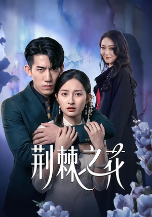 荆棘之花（100集）超火热门短剧