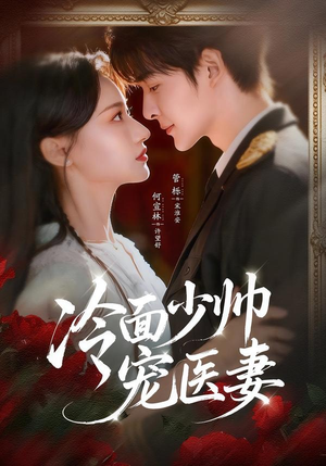冷面少帅宠医妻（65集）更新时间一览表