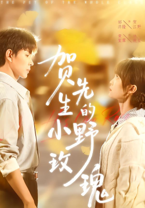贺先生的小野玫瑰(99集) 贺先生的小野玫瑰(99集)免费观看就是爽