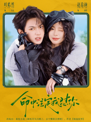 命中注定我怼你（79集）在线看到大结局