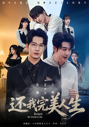 还我完美人生（73集）热门短剧推荐