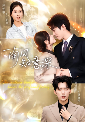 南风知意深（40集）追短剧看全集