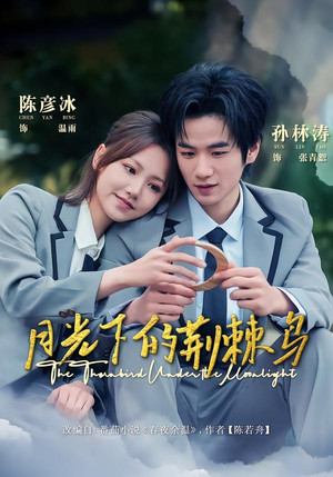 月光下的荆棘鸟(80集) 月光下的荆棘鸟(80集)在哪看免费