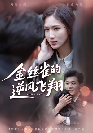 金丝雀的逆风飞翔（80集） 好看上头的短剧