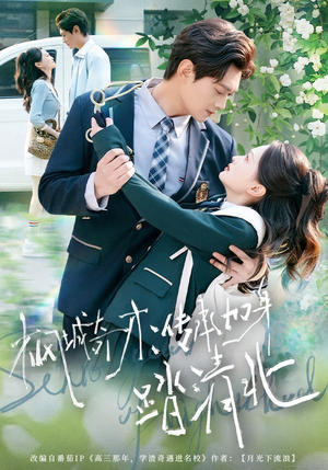 枫城奇才：传承加身踏清北（80集） 网络小短剧