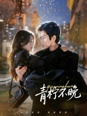 青柠不晚（78集）剧情简介