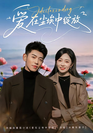 爱在尘埃中绽放（86集）热门短剧推广