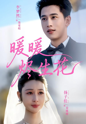 暖暖烬生花（65集）在线看到大结局