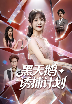 黑天鹅诱捕计划（81集）火爆短剧来袭