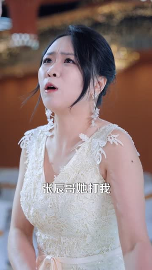 我的保镖遍布全球（78集）短剧视频分享