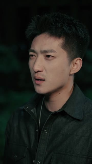 巨虎出山（50集）好看吗