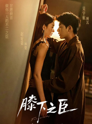 膝下之臣（56集）火爆热门短剧