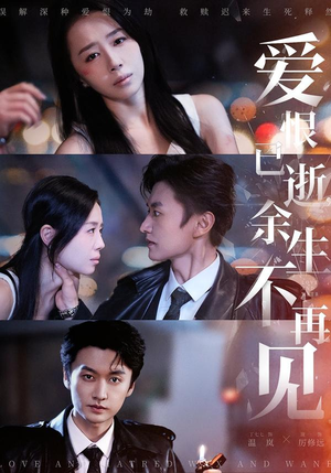 爱恨已逝，余生不再见（68集）最新热播短剧