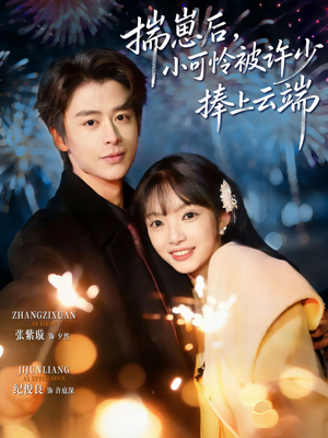 揣崽后，小可怜被许少捧上云端（81集）百度网盘在线看