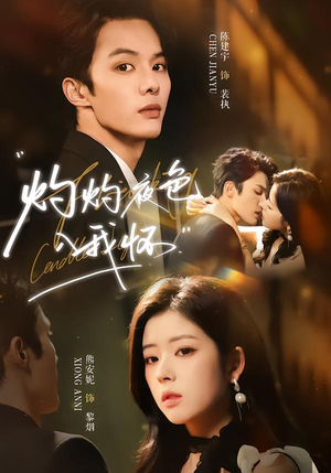 灼灼夜色入我怀（60集）热门短剧推广