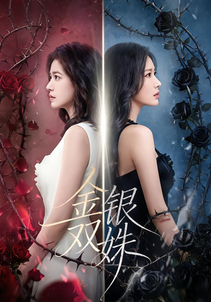 金银双姝（80集）精彩短剧随心推