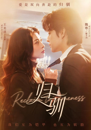 归驯（82集）在线免费观看