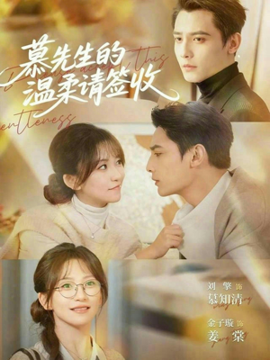慕先生的温柔请签收（90集）推荐你们也去看