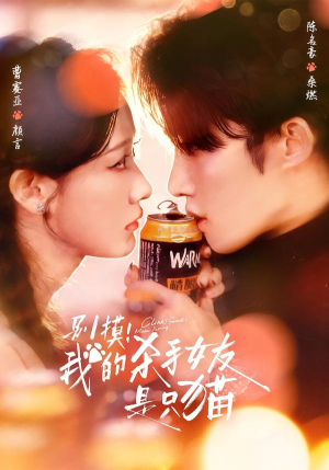 别摸！我的杀手女友是只猫（60集）让你一口气看完