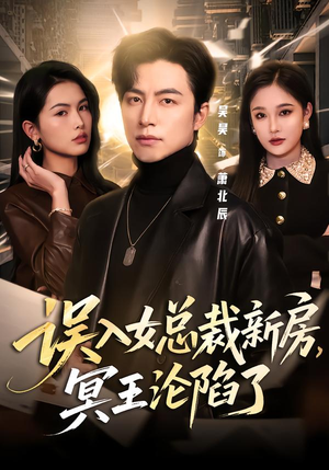 误入女总裁新房，冥王沦陷了（80集）怎么看全集