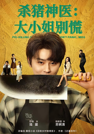 杀猪神医，大小姐别慌（80集）最新短剧推荐