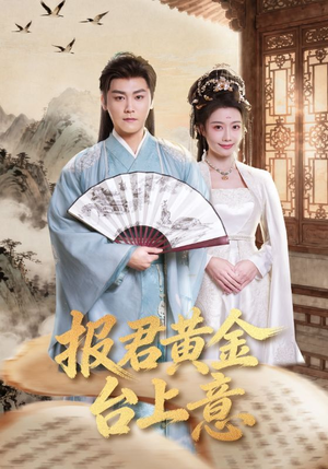 报君黄金台上意（100集）看到了大结局