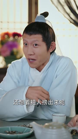 报君黄金台上意（100集）好看短剧分享