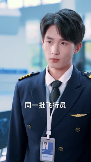 停飞后，我的航班坠毁了（100集）热播短剧排行榜