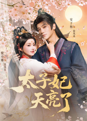 太子妃天亮了（80集）在线免费观影
