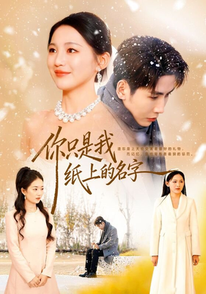 你只是我纸上的名字（68集）最新热剧免费看