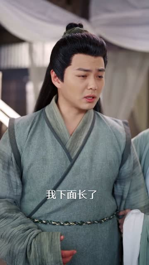 布衣犬相（71集）一共多少集