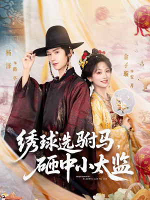 绣球选驸马，砸中小太监（81集）短剧热门合集