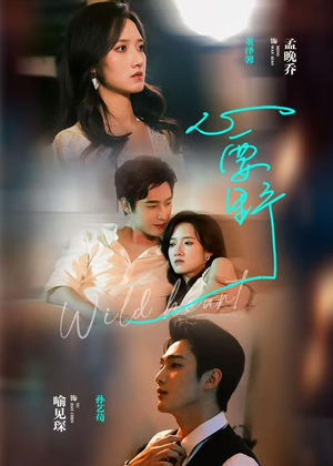 心要野（62集）高清无码免费看