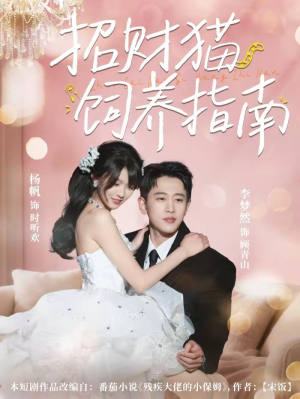 招财猫饲养指南（92集）真的太精彩了