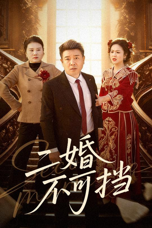 二婚不可挡(36集) 二婚不可挡(36集)免费观看