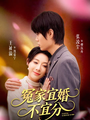 冤家宜婚不宜分(80集) 冤家宜婚不宜分(80集)好看的短剧分享