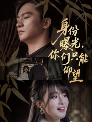 身份曝光，你们只能仰望（78集）怎么看全集