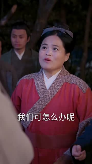 无情画（72集）在线免费观看