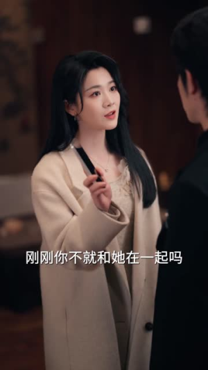 所有的巧合都是秘密（80集）全集完整版