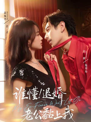 谁懂！退婚老公黏上我（64集）番茄短剧免费看