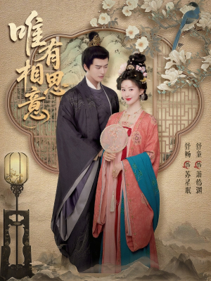 唯有相思意(100集) 唯有相思意(100集)精彩短剧随心推