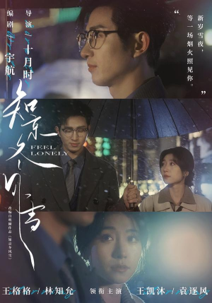 知京冬风雪(68集) 知京冬风雪(68集)大结局