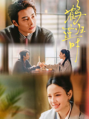 鹤归瑾时(81集) 鹤归瑾时(81集)解说