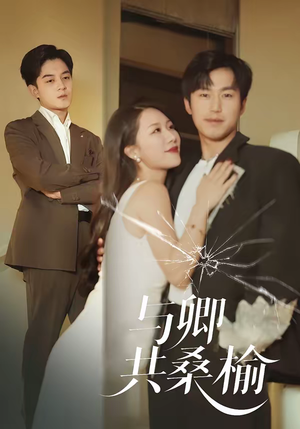 与卿共桑榆(63集) 与卿共桑榆(63集)短剧热播中