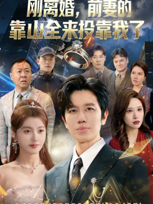 离婚,前妻的靠山全来投靠我了(80集) 离婚,前妻的靠山全来投靠我了(80集)在线看完整版