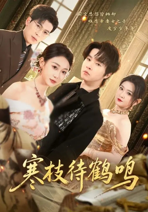 寒枝待鹤鸣（70集）热门短剧来袭