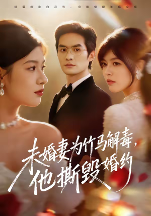 未婚妻为竹马解毒，他撕毁婚约（41集）高质量短剧推荐