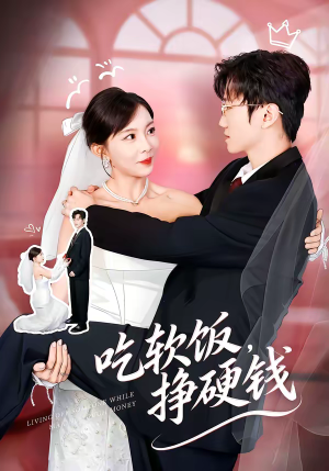 吃软饭，挣硬钱（80集）演员表